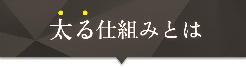 太る仕組みとは
