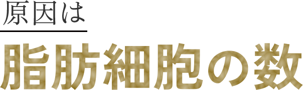 原因は脂肪細胞の数