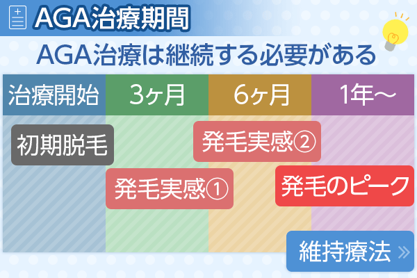 AGA治療期間と流れについて説明したグラフ図