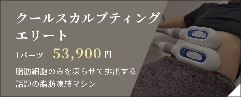 クールスカルプティングエリート 1パーツ 53,900円